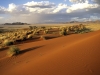 Namib desert