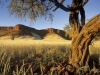 Namib desert