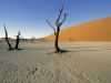 Namib desert