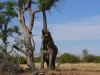 namibia-country-lodges-jensvietor-8
